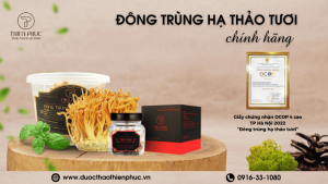 Đông Trùng Hạ Thảo Tươi Chính Hãng