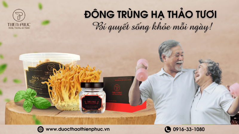 Thực Phẩm Đông Trùng Hạ Thảo Tươi Tốt Nhất