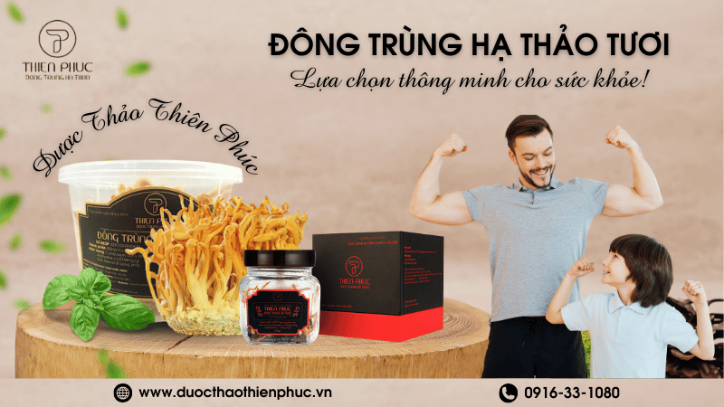 Thực Phẩm Tươi Đông Trùng Hạ Thảo Tại Dược Thảo Thiên Phúc