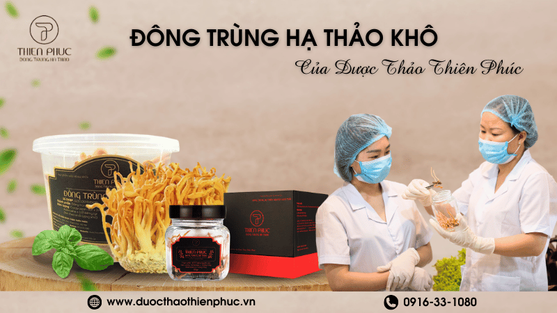 Nơi Bán Đông Trùng Hạ Thảo Tươi Uy Tín