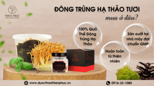 Ở Đâu Bán Đông Trùng Hạ Thảo Tươi?