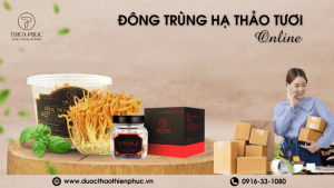 Đông Trùng Hạ Thảo Tươi Online