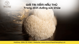 Giá Trị Nấm Hầu Thủ Trong Dinh Dưỡng Với Sức Khỏe