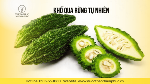 Khổ Qua Rừng Tự Nhiên - Khả Năng Trị Bệnh Tuyệt Vời