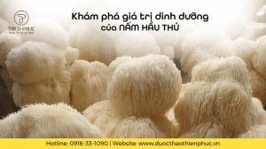 Khám Phá Giá Trị Dinh Dưỡng Của Nấm Hầu Thủ