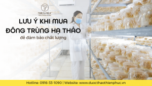 Lưu Ý Khi Mua Đông Trùng Hạ Thảo Để Đảm Bảo Chất Lượng