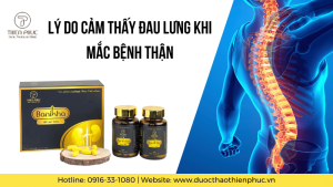 Lý Do Cảm Thấy Đau Lưng Khi Mắc Bệnh Thận