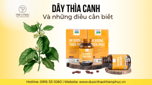 Tác Dụng Của Dây Thìa Canh Và Những Điều Cần Biết