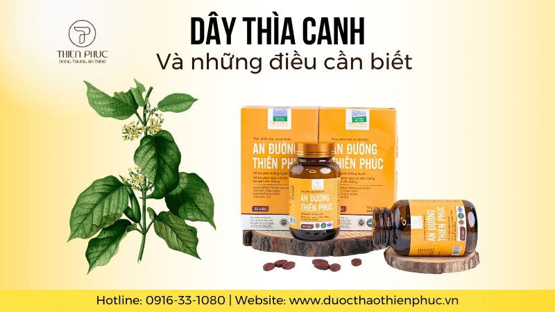 Tác Dụng Của Dây Thìa Canh Và Những Điều Cần Biết