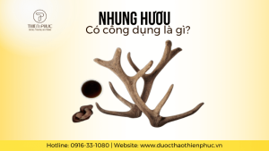 Công Dụng Của Nhung Hươu