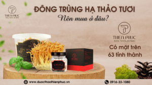 Nên Mua Đông Trùng Hạ Thảo Tươi Ở Đâu?