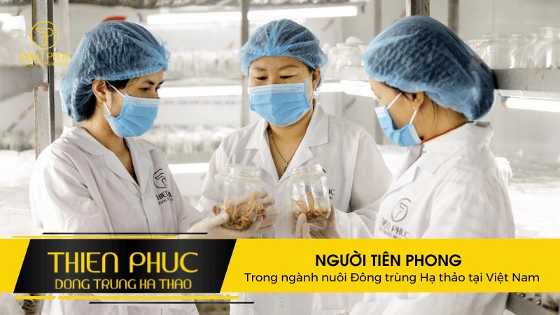 Người Tiên Phong Trong Ngành Nuôi Trồng Đông Trùng Hạ Thảo Tại Việt Nam