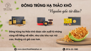 Nguồn Gốc Đông Trùng Hạ Thảo Khô Từ Đâu?