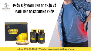 Phân Biệt Đau Lưng Do Thận Và Đau Lưng Do Cơ Xương Khớp