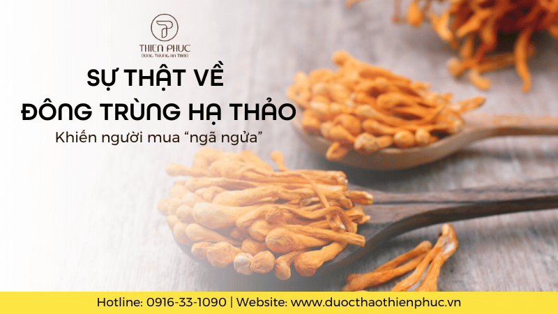 Sự Thật Về Đông Trùng Hạ Thảo Khiến Người Mua "Ngã Ngửa"