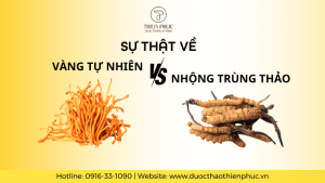 Sự Thật Về "Vàng" Tự Nhiên & "Nhộng Trùng Thảo" Hiện Nay