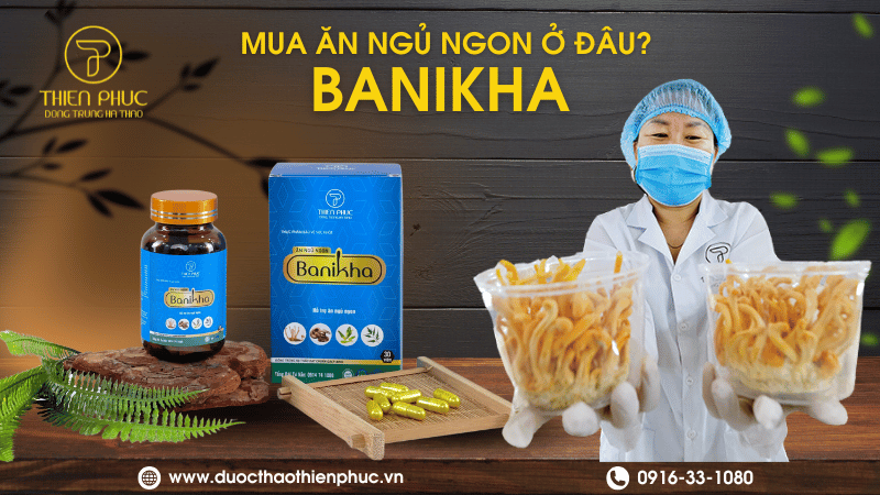 Ăn Ngon Ngủ Ngon Banikha Mua Ở Đâu