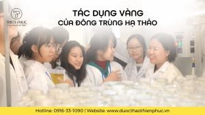 Tác Dụng Vàng Của Đông Trùng Hạ Thảo Là Gì?