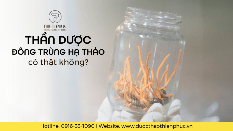 Thần Dược Đông Trùng Hạ Thảo Có Thật Không?