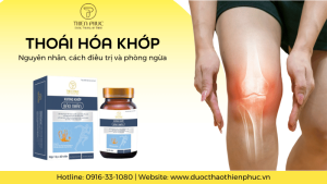 Nguyên Nhân Gây Thoái Hóa Khớp: Cách Điều Trị và Phòng Ngừa