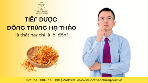 Tiên Dược Đông Trùng Hạ Thảo Là Thật Hay Chỉ Là Lời Đồn?