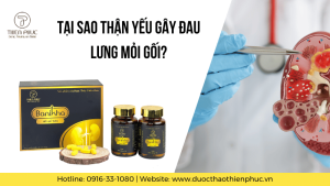 Tại Sao Thận Yếu Gây Đau Lưng Mỏi Gối?