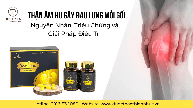 Thận Âm Hư Gây Đau Lưng Mỏi Gối Và Giải Pháp Điều Trị