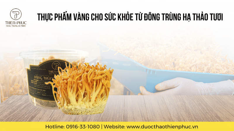 Thực Phẩm Vàng Cho Sức Khỏe Từ Đông Trùng Hạ Thảo Tươi