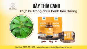 Thực Hư Về Dây Thìa Canh Chữa Bệnh Tiểu Đường