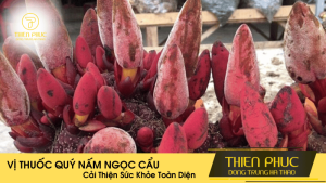 Vị Thuốc Quý Nấm Ngọc Cẩu - Cải Thiện Sức Khỏe Toàn Diện