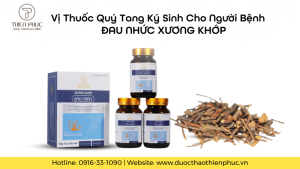 Vị Thuốc Quý Tang Ký Sinh Cho Người Đau Nhức Xương Khớp