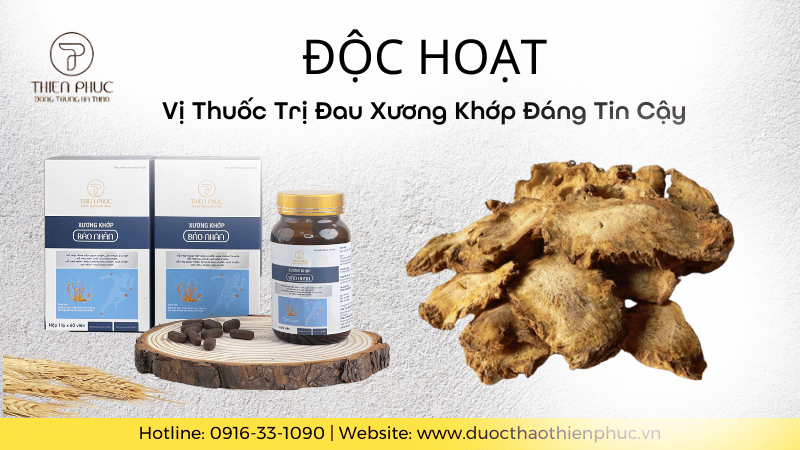 Độc Hoạt: Vị Thuốc Trị Đau Xương Khớp Đáng Tin Cậy