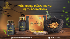 Viên Nang Đông Trùng Hạ Thảo Banikha