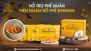 Viên Ngậm Hỗ Trợ Phế Quản Banikha