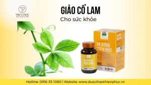 Thảo Dược Vàng Giảo Cổ Lam Cho Sức Khỏe