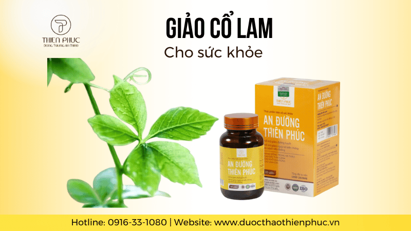 Thảo Dược Vàng Giảo Cổ Lam Cho Sức Khỏe