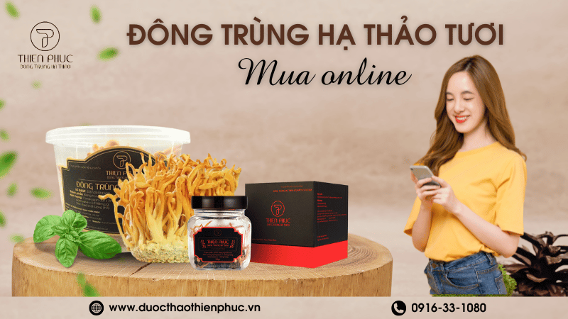 Mua Online Đông Trùng Hạ Thảo Tươi