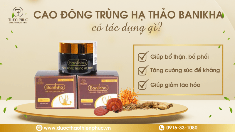 Tác Dụng Đông Trùng Hạ Thảo Banikha