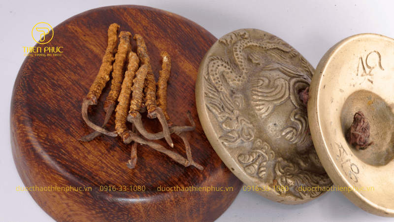 Lợi Ích Đối Với Sức Khỏe Tim Mạch