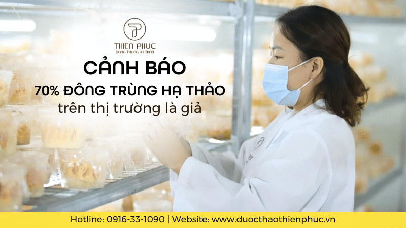 Cảnh Báo 70% Đông Trùng Hạ Thảo Trên Thị Trường Là Giả