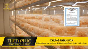 CHỨNG NHẬN FDA Minh chứng vàng cho chất lượng của Đông Trùng Hạ Thảo Thiên Phúc