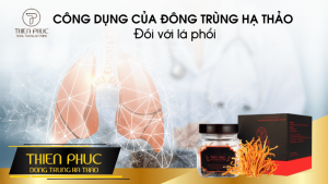 CÔNG DỤNG CỦA ĐÔNG TRÙNG HẠ THẢO