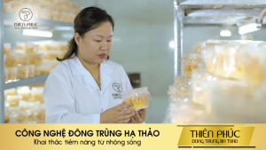 CÔNG NGHỆ ĐÔNG TRÙNG HẠ THẢO