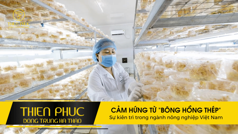 Cảm Hứng Từ _Bông Hồng Thép__ Sự Kiên Trì Trong Ngành Nông Nghiệp Việt Nam