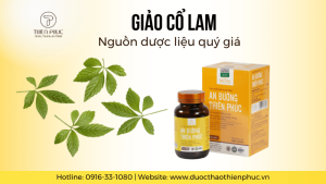 Cây Giảo Cổ Lam: Nguồn Dược Liệu Quý Giá