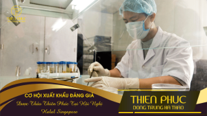 Cơ Hội Xuất Khẩu Đáng Giá: Dược Thảo Thiên Phúc Tại Hội Nghị Halal Singapore