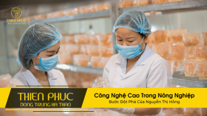 Công Nghệ Cao Trong Nông Nghiệp: Bước Đột Phá Của Nguyễn Thị Hồng