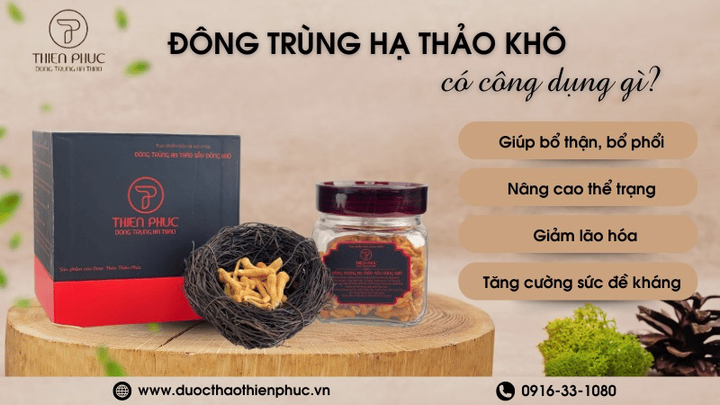 Công Dụng Của Đông Trùng Hạ Thảo Khô