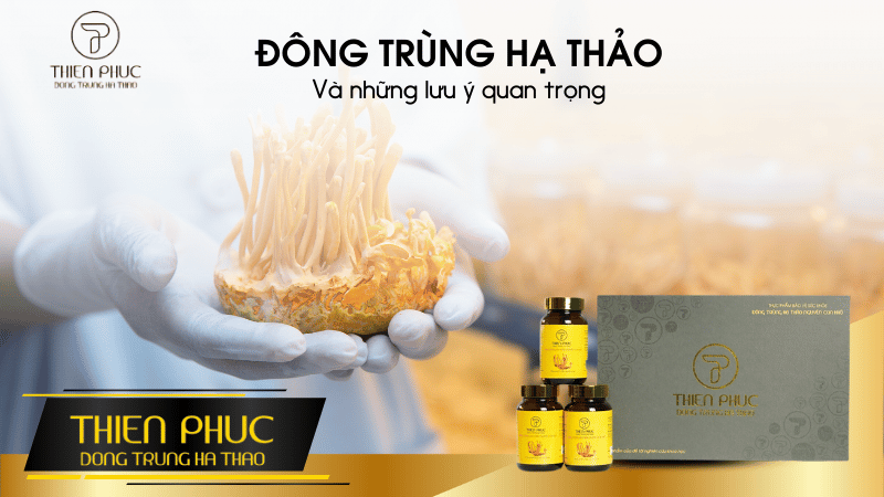 Những Lưu Ý Quan Trọng Khi Sử Dụng Đông Trùng Hạ Thảo