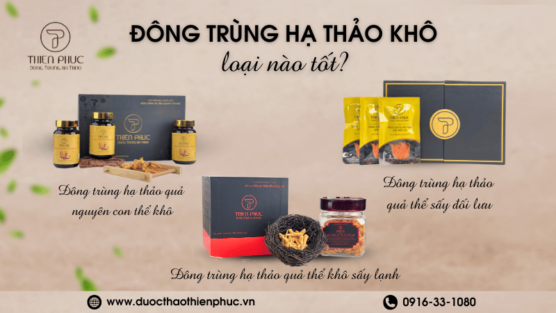 Loại Đông Trùng Hạ Thảo Khô Nào Tốt?